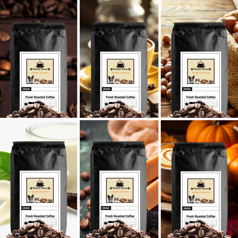 Sampler – 6 Flavor Coffee Collection