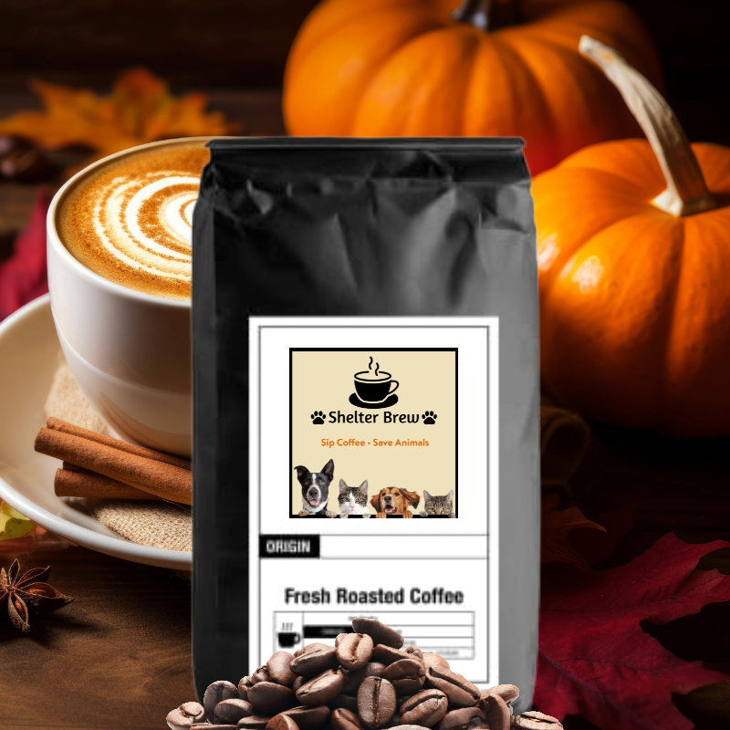 Pumpkin Spice – Medium Roast Coffee
