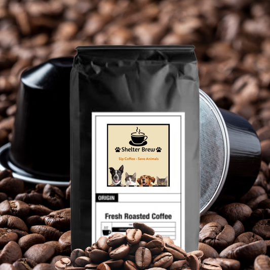 60 Pack Single Serve Coffee Pods - Original Roast